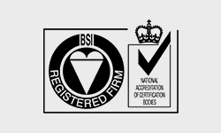 BSI Registered Firm